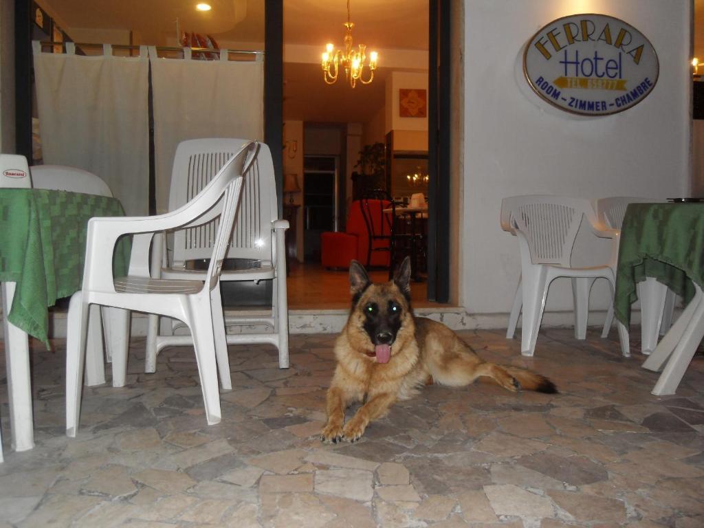 Hotel Ferrara San Benedetto del Tronto Zewnętrze zdjęcie